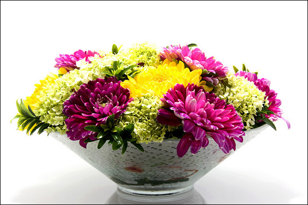 eway_opentalk_phan_phuong_đat